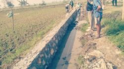 Proyek P3-TGAI Rp195 Juta di Pakisjaya Disorot, LBH GMBI Pertanyakan Dugaan Alih Pekerjaan ke Pihak Ketiga