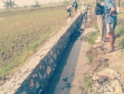 Proyek P3-TGAI Rp195 Juta di Pakisjaya Disorot, LBH GMBI Pertanyakan Dugaan Alih Pekerjaan ke Pihak Ketiga
