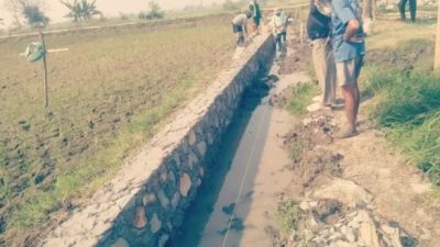 Proyek P3-TGAI Rp195 Juta di Pakisjaya Disorot, LBH GMBI Pertanyakan Dugaan Alih Pekerjaan ke Pihak Ketiga