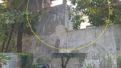 Warga Perum BSMI Digegerakan  Datangnya Seekor Monyet Liar Ke Pemukiman