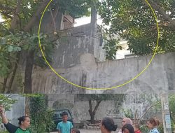 Warga Perum BSMI Digegerakan  Datangnya Seekor Monyet Liar Ke Pemukiman