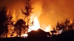 Dana Kampung Jadi Pemicu, Kantor Pemerintahan kabupaten Puncak Dibakar Massa