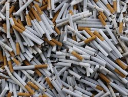 Peredaran Rokok Ilegal Kembali Ditemukan di Sejumlah Wilayah Jakarta