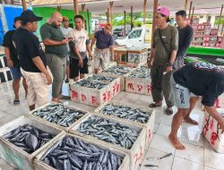 Asosiasi Pedagang Ikan Touna Desak Investigasi dan Evaluasi Pengelolaan TPI