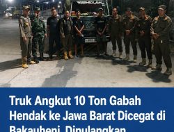 Truk Angkut 10 Ton Gabah Hendak ke Jabar Diperiksa Petugas di Pelabuhan Bakauheni