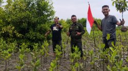 Sambut HUT ke-81 RI, Yayasan Generasi Hijau Riau Tanam Mangrove di Pesisir Rokan Hilir