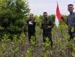 Sambut HUT ke-81 RI, Yayasan Generasi Hijau Riau Tanam Mangrove di Pesisir Rokan Hilir