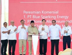 Prabowo Resmikan Komersialisasi dan Groundbreaking 11 Proyek Hilirisasi Nikel Senilai Rp180 Triliun
