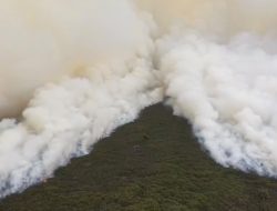 Kebakaran Tanjung Puting Kian Mengkhawatirkan, Relawan Mundur dan Desak Pemerintah Kerahkan Water Bombing