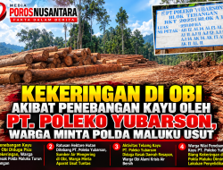 KEKERINGAN DI OBI DIDUGA TERKAIT PENEBANGAN HUTAN, WARGA DESAK POLDA MALUKU UTARA PERIKSA PIHAK TERKAIT
